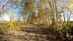 MTB Merem-Teut Zonhoven 53 Km. 13-11-17-03