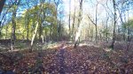 MTB Merem-Teut Zonhoven 53 Km. 13-11-17-07