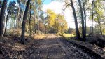 MTB Merem-Teut Zonhoven 53 Km. 13-11-17-26