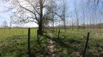 Wandeling Bilzen-Rijkhoven 11 Km. 06-04-18-07