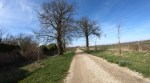 Wandeling Bilzen-Rijkhoven 11 Km. 06-04-18-51